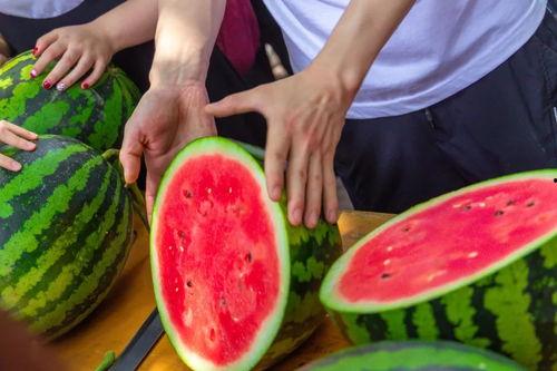 吃瓜浙江大学,揭秘校园里的“瓜田”趣事