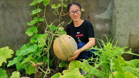 小清吃瓜,揭秘娱乐圈那些不为人知的幕后故事