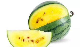 怎样吃瓜最有效,解锁高效观瓜新姿势